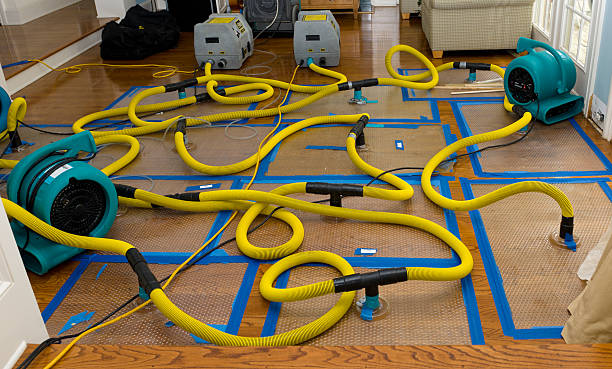 Professional Storm Water Damage Restoration technician working in Centennial, WY